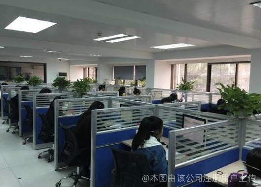 洞察市場脈搏 浙江嘉輝經濟信息咨詢的價值之路
